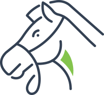 Hippotherapy Icon